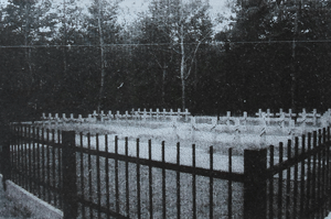 Кладбище польских офицеров в Старобельске
