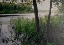 Озёра национального парка «Смоленское Поозерье»
