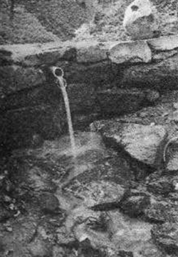 Верхний источник Киселевой балки. Фото 2000 года.